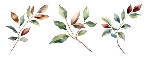 Branch with leaves, watercolor clipart illustration with isolated background. - obrazy, fototapety, plakaty