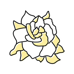 gardenia blossom spring color icon vector. gardenia blossom spring sign. isolated symbol illustration
