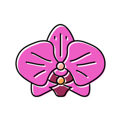 orchid blossom spring color icon vector. orchid blossom spring sign. isolated symbol illustration