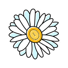 daisy blossom spring color icon vector. daisy blossom spring sign. isolated symbol illustration