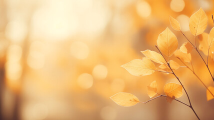 Naklejka na ściany i meble Beautiful blurred gentle natural light autumn background.
