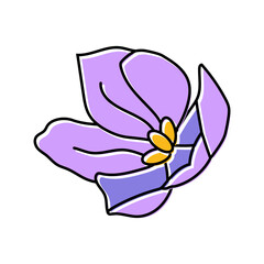 saffron food herb color icon vector. saffron food herb sign. isolated symbol illustration