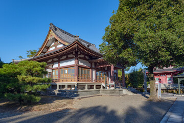 熊本 蓮華院誕生寺 本堂