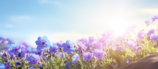 The blue and purple flowers are blooming beautifully, amidst green nature, open sky, and shining sun.