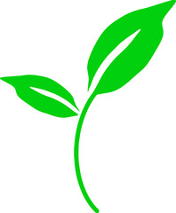 green plant illustration - transparent background