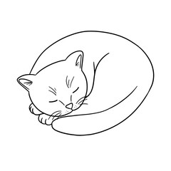 Outline cute cat sleeping. Animal line sketch isolated on white