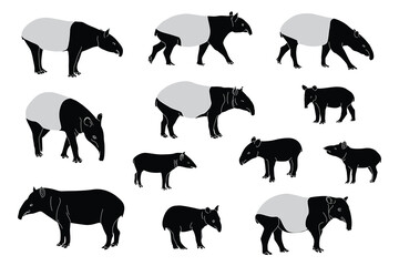 Tapir silhouettes, Malayan tapir silhouette, Tapir vector set, Tapir animal bundle. Image For Animals Design on white background.