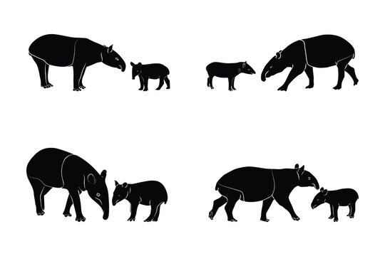  Set a Mother and Baby Tapir silhouettes, Vector Illustration of Tapir animal bundle. Image For Animals Design
