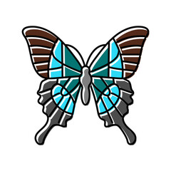 malabar banded peacock insect color icon vector. malabar banded peacock insect sign. isolated symbol illustration