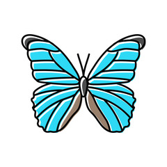 giant blue morpho spring color icon vector. giant blue morpho spring sign. isolated symbol illustration