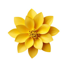 Fototapeta na wymiar yellow flower - 1