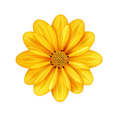 Obraz premium yellow flower - 1