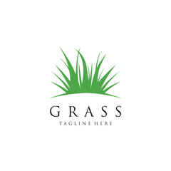 Grass logo design template vector illustration with creative idea