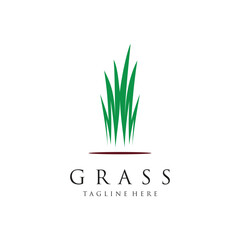 Grass logo design template vector illustration with creative idea