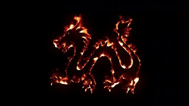 Dragon on fire and burning effect. Chinese zodiac sign. Year of the Wood Dragon. Black background