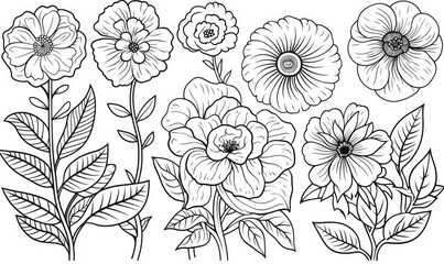 A line drawing of flowers and leaves