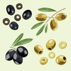 A set of olives on a branch with leaves and pitted olives. Vector image.