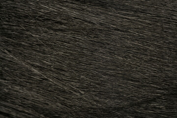 Dark long hair in close-up. A wave of hair as a background