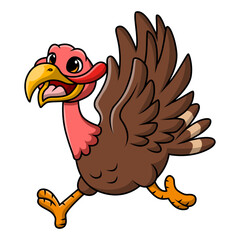 Cute turkey bird cartoon on white background