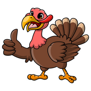 Cute turkey bird cartoon giving thumb up
