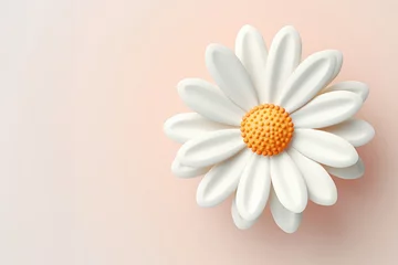 Schilderijen op glas 3d render of white daisy flower on white copy spcae background. © ant