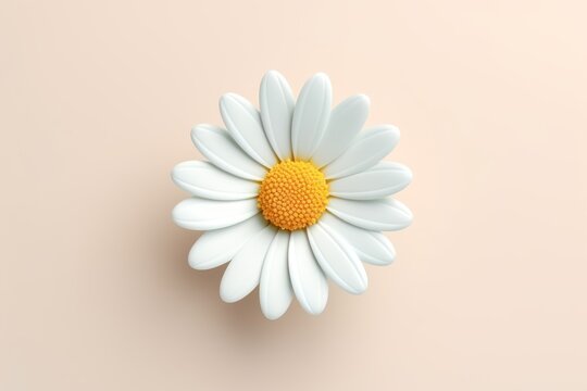 3d render of white daisy flower on white copy spcae background.
