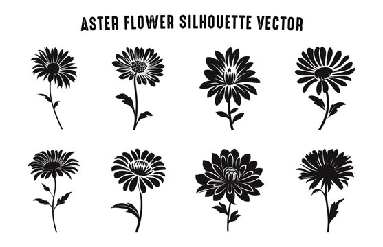Aster Flower Silhouette black and white Vector set, Aster Flowers Silhouettes Clip art Bundle