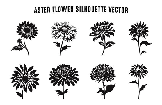 Aster Flower Silhouette Vector set, Aster Flowers Clipart Bundle