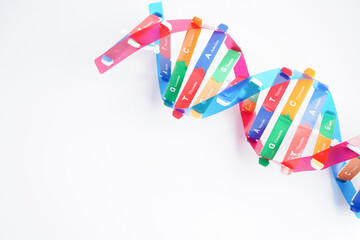 DNA molecule spiral structure model isolated on white background, chromosome and gene chemical...