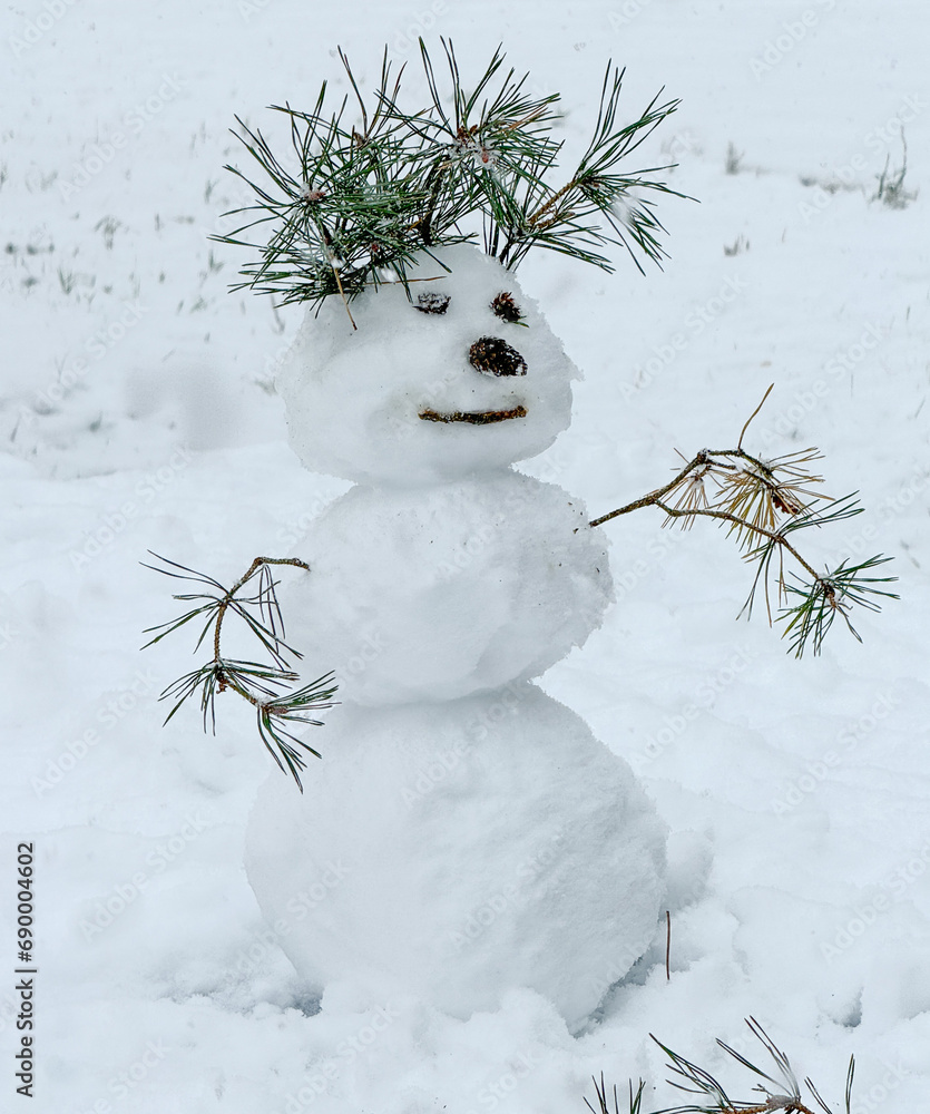 Wall mural Snowman in nature in winter