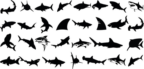 Shark silhouette vector illustration, various species of sharks, great white, hammerhead, bull shark, tiger shark, ocean predators, sea life, marine biology, underwater, fish, dangerous, carnivore - obrazy, fototapety, plakaty