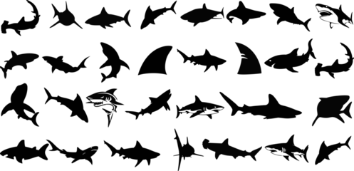 Fotobehang Shark silhouette vector illustration, various species of sharks, great white, hammerhead, bull shark, tiger shark, ocean predators, sea life, marine biology, underwater, fish, dangerous, carnivore © Arafat