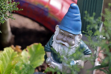 garden gnome, gnome