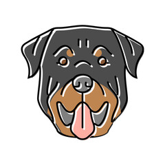 rottweiler dog puppy pet color icon vector. rottweiler dog puppy pet sign. isolated symbol illustration
