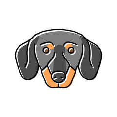 dachshund dog puppy pet color icon vector. dachshund dog puppy pet sign. isolated symbol illustration