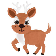 the reindeer raises one leg
