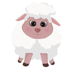 White sheep, big eyes, cute
