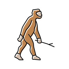 homo erectus human evolution color icon vector. homo erectus human evolution sign. isolated symbol illustration