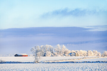 Snowy fields with a red barn in winter