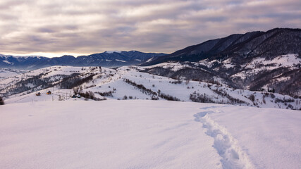 mountainous winter landscape in morning light. scenery with snow covered rural hills and leafless...