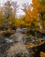 Obraz na płótnie Canvas Fall River
