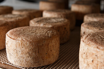 Production of artisanal cheese. In the curing process.