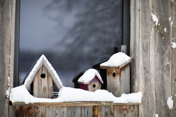 Birdhouses covered in a blanket of snow - obrazy, fototapety, plakaty