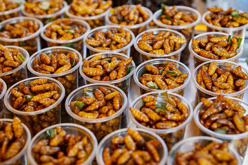 Deep fried silkworms chrysalis in plastic cup at street food - obrazy, fototapety, plakaty