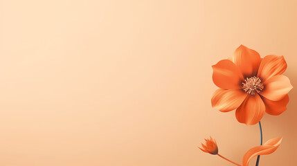 Fototapeta na wymiar Orange flower with copy space background,PPT background