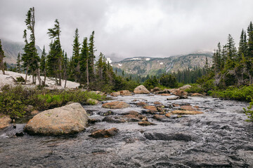 Mountain Creek in the Indian Peaks Wilderness, Colorado