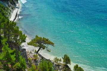 Scenic pine tree on the rocks of the Blue Abyss bay