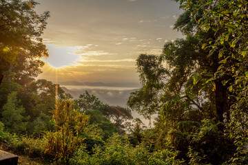 high mountain nature background that can see the scenery around, the fog covers the trees in a blur, the cool air, the beauty of the ecosystem