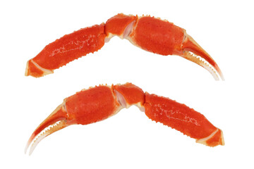 Cooked Peruvian Southern King crab leg isolated on a white background. Crab claws isolated on white...