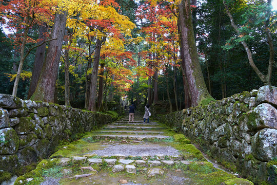 Moss-covered stone steps where tourists take photos of the beautiful maple trees inside Saimyo-ji Temple.